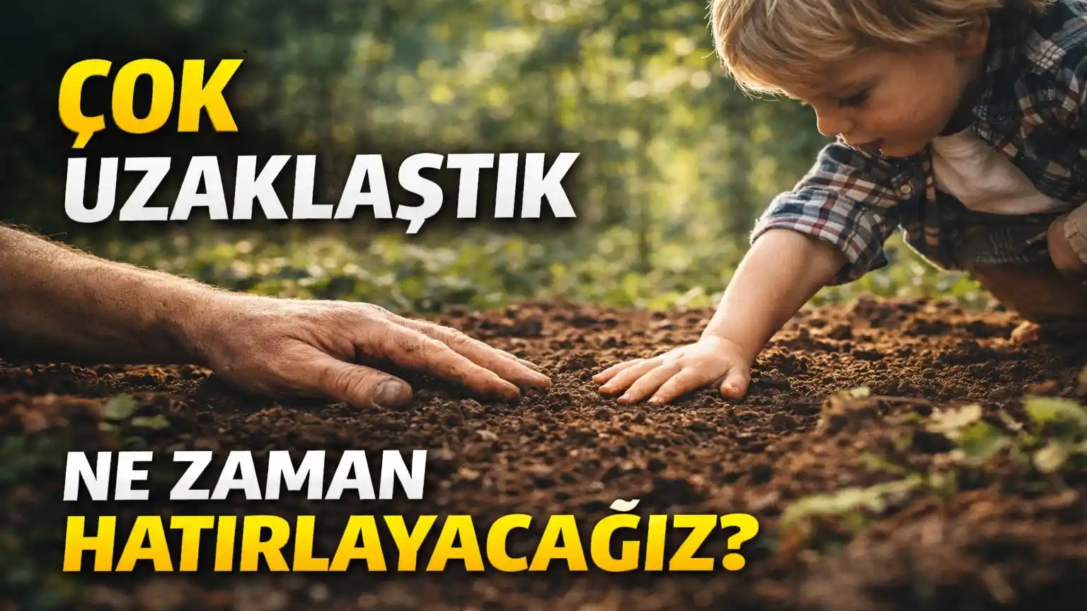 UNUTTUĞUMUZ ŞEYLER