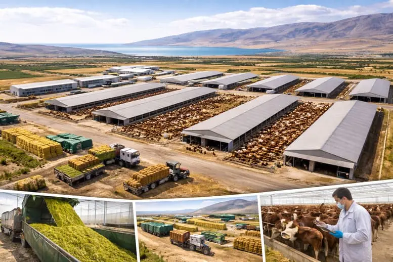 Van Tarıma Dayalı İhtisas Besi OSB ile Kırmızı Et Üretimi Planlı Hale Geliyor