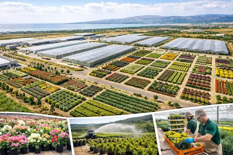 Yalova Çiftlikköy Süs Bitkileri OSB ile Sektörde Planlı Üretim Dönemi