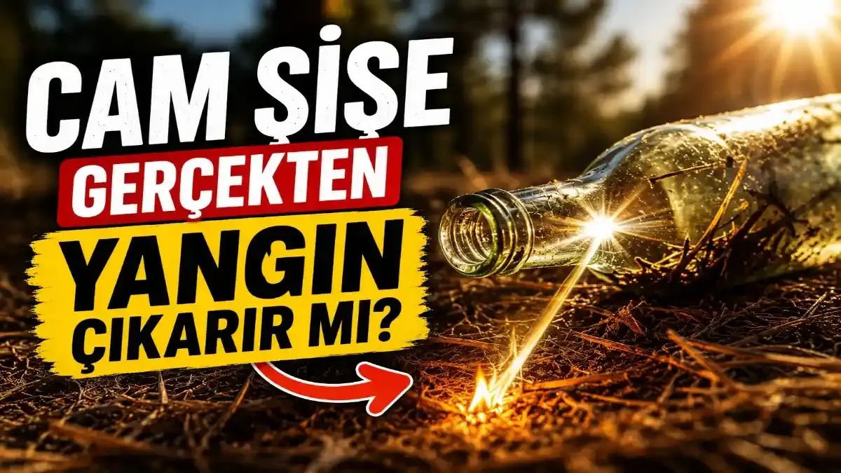 Yazın Sessiz Tehlikesi: Cam Şişeler Orman Yangınına Neden Olabilir mi?