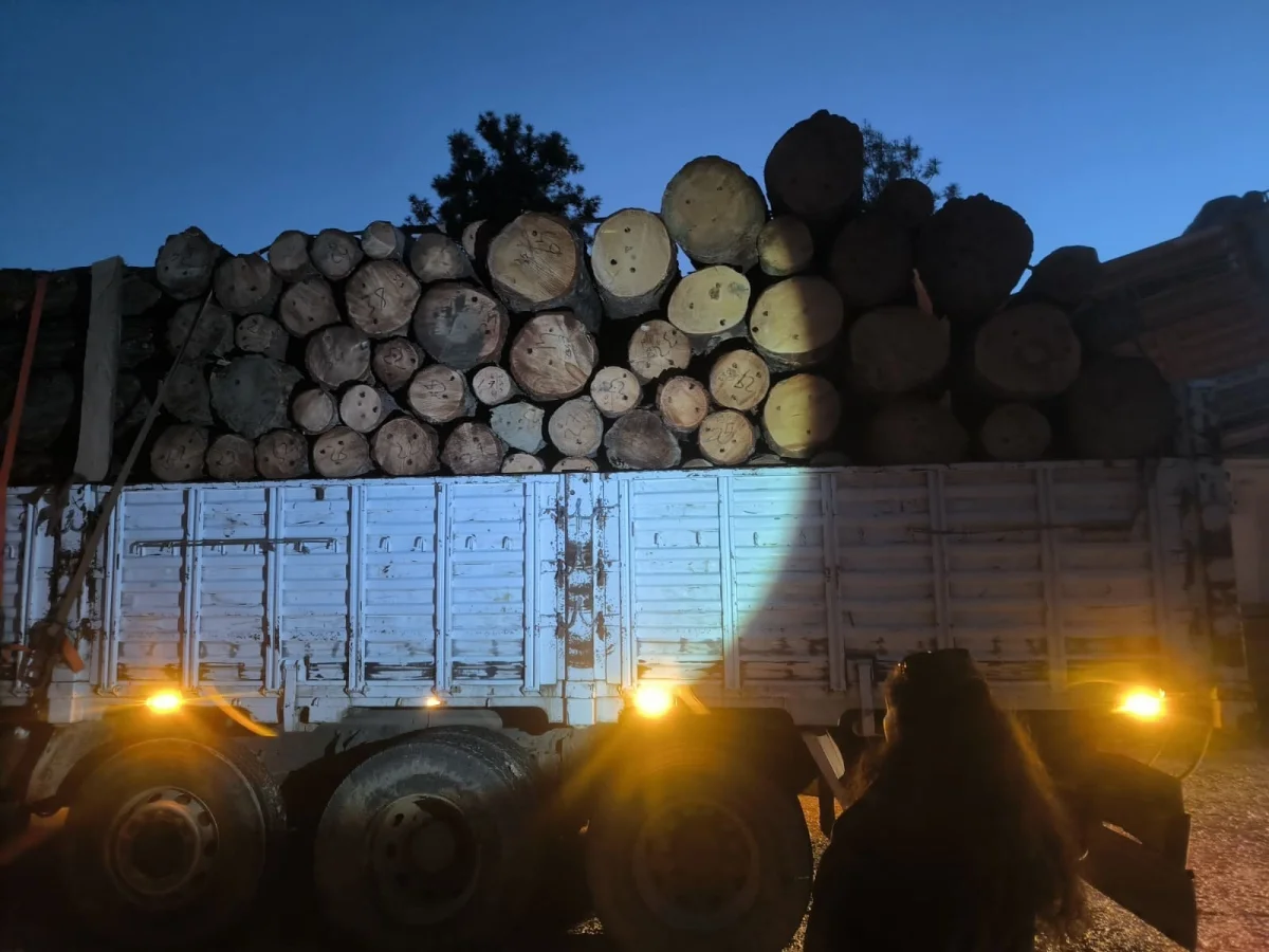 Yeşil Vatan 7/24 Koruma Altında: OGM’den Kaçakçılıkla Etkin Mücadele