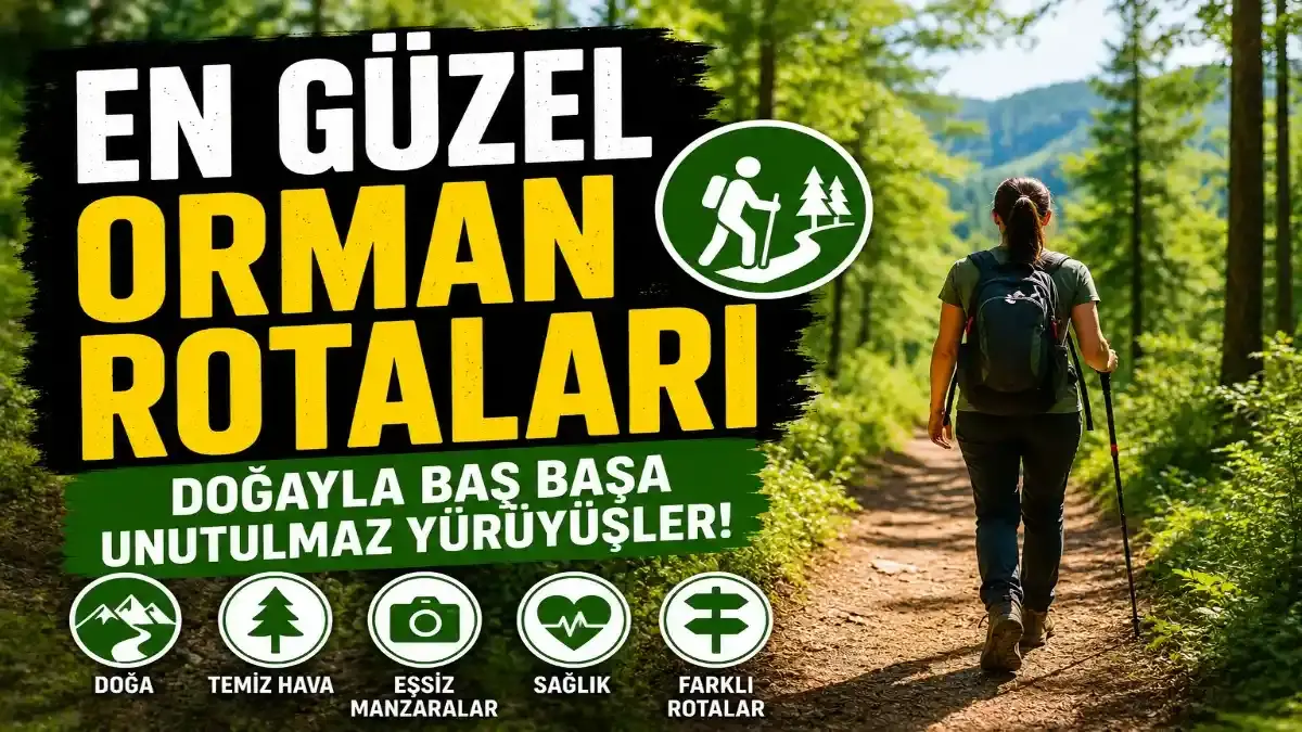 Yürüyüş İçin En Güzel Orman Rotaları 2026: Türkiye’de Doğayla Baş Başa Kalabileceğiniz En Etkileyici Yürüyüş Parkurları